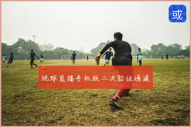 玩球直播手机版二次验证通道